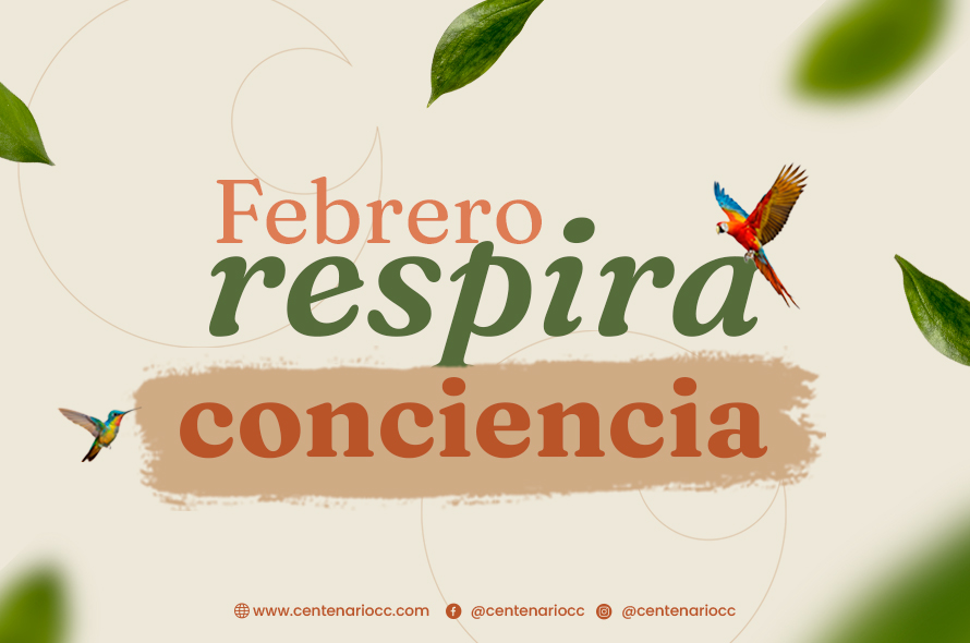 Bajar el ritmo también es una forma de avanzar.